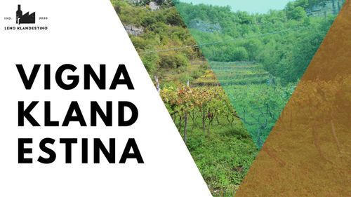 VignaKlandestina - Una giornata di musica, prodotti locali e storie del territorio