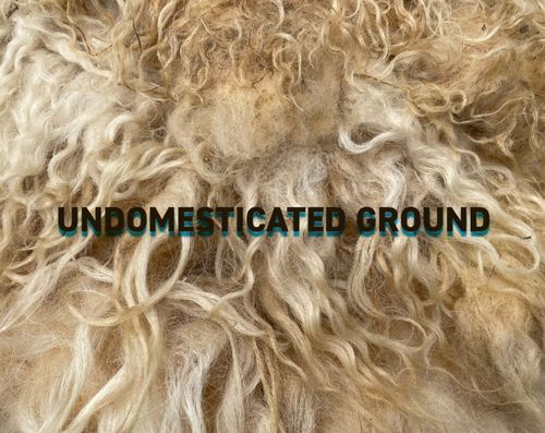 UNDOMESTICATED GROUND - OPENING Group Show + Live Program