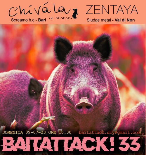 Chivàla + Zentaya