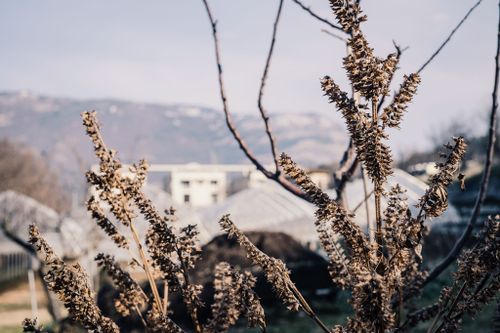 Orti in Città - Sentieri di Etika