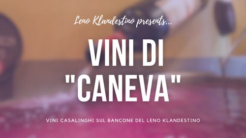 "Vim de Caneva" edizione 2024 @ Leno Klandestino