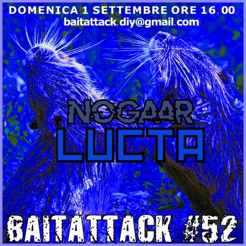 Lucta + Nogaar