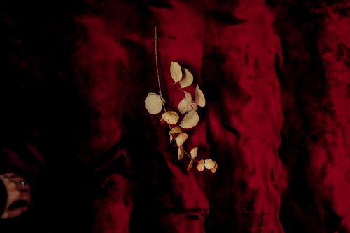 𝐹𝐴𝑀𝑀𝐼 𝐸𝑆𝑆𝐸𝑅𝐸 𝐹𝑂𝐺𝐿𝐼𝐴 - la mostra